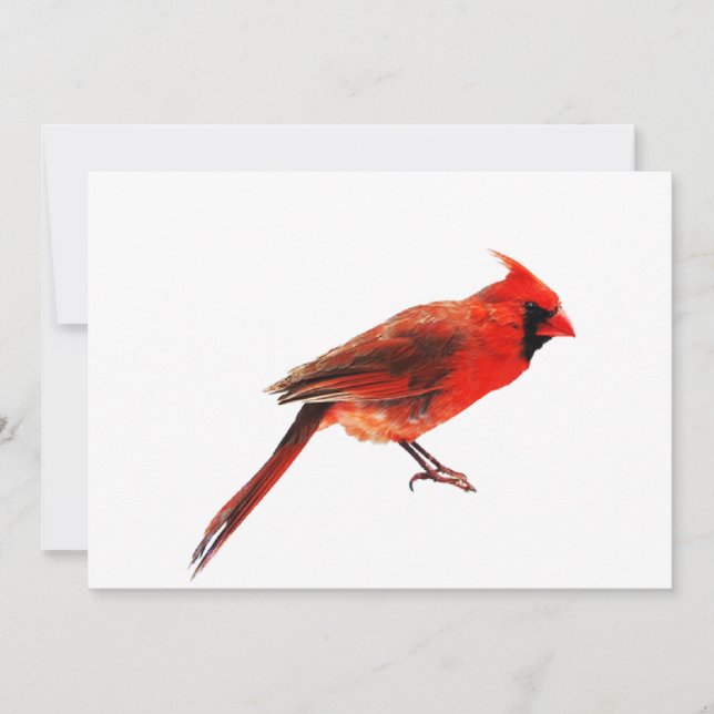Cardenales (Anverso)