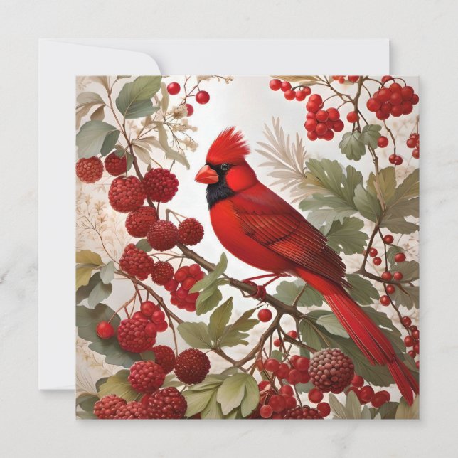 Cardenales del norte de Bird Red Berries (Anverso)
