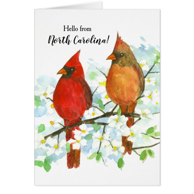 Cardenales del Norte Hola De Carolina Del Norte Bl (Frente)
