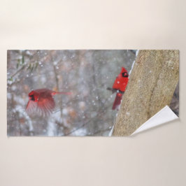 Cardenales en la nieve