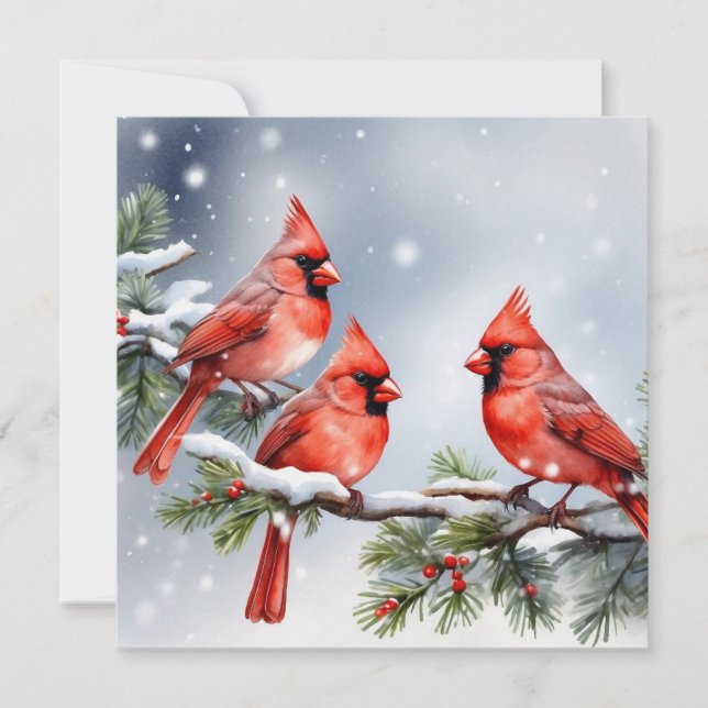 Cardenales en la tarjeta de vacaciones plana de ni (Anverso)