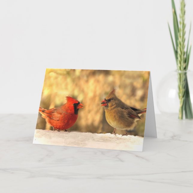 Cardenales en tarjetas de felicitación del otoño (Anverso)