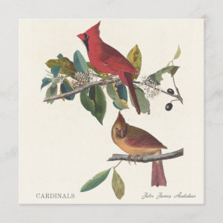 Cardenales por John James Audubon