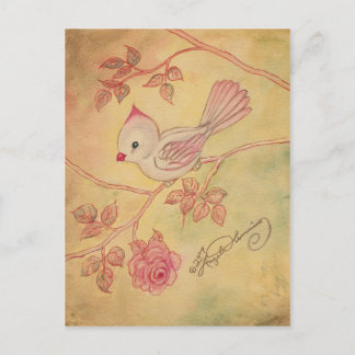 Cardenales, tarjetas de postales, cardenales de ap