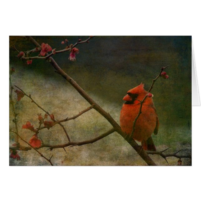 Cardinal (Anverso (Horizontal))
