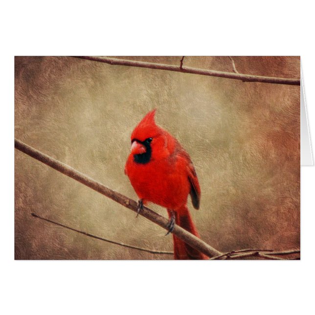 Cardinal (Anverso (Horizontal))