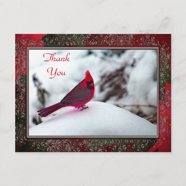 Cardinal 6241 fotograma postal TY (Anverso)