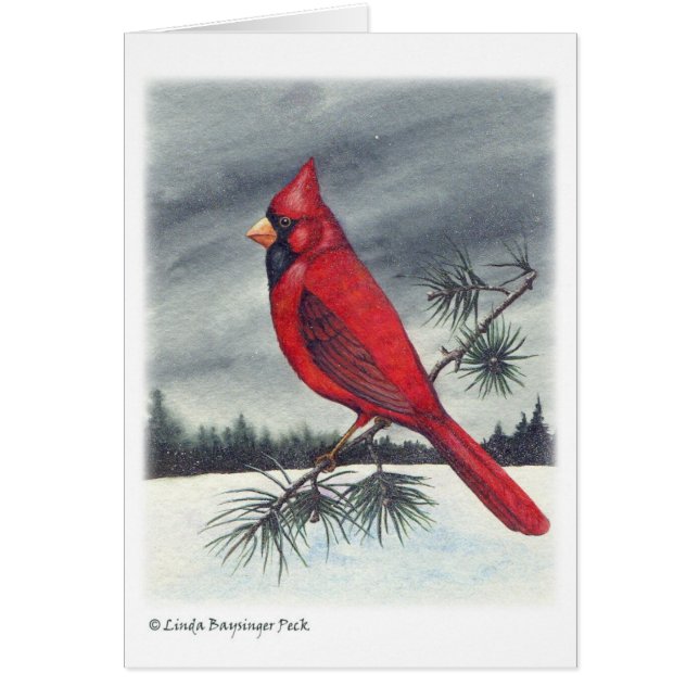 Cardinal Bird (Frente)