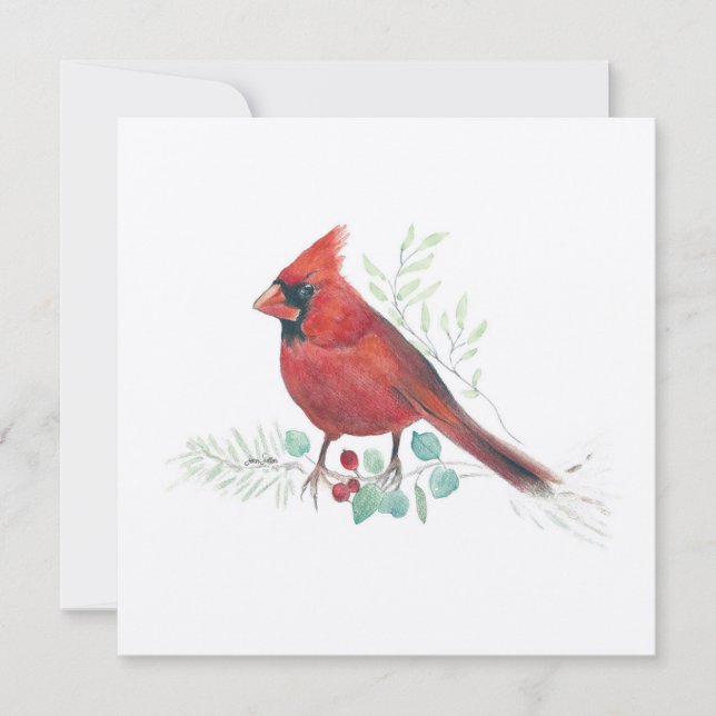 Cardinal Bird Watercolor (Anverso)