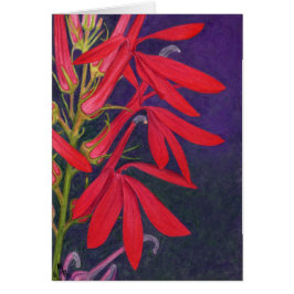 Cardinal Flower Art Card