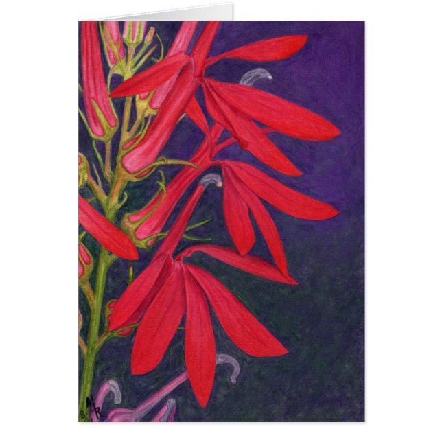 Cardinal Flower Art Card (Frente)