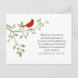 Cardinal Funeral Gracias Nota Tarjeta Pájaro Rojo