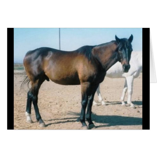 Cardmania (Anverso (Horizontal))