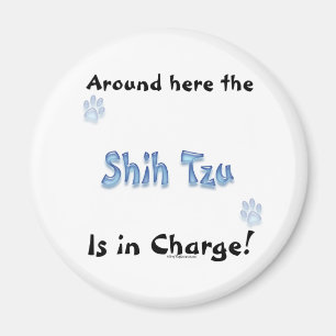Carga de Shih Tzu - imán