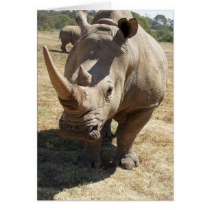 Carga del rinoceronte