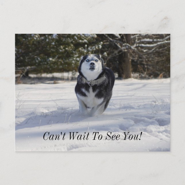 Cargando a través de la postal (Anverso)