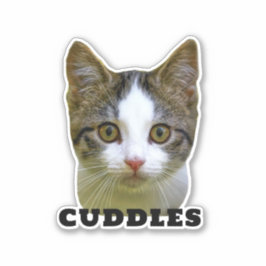 Cargar la foto y el nombre de su Mascota Pegatina 