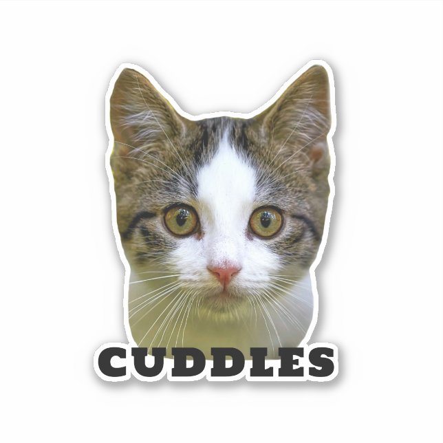 Cargar la foto y el nombre de su Mascota Pegatina  (Anverso)