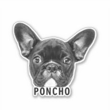 Cargar Mascota Face Photo & Name Pegatina personal