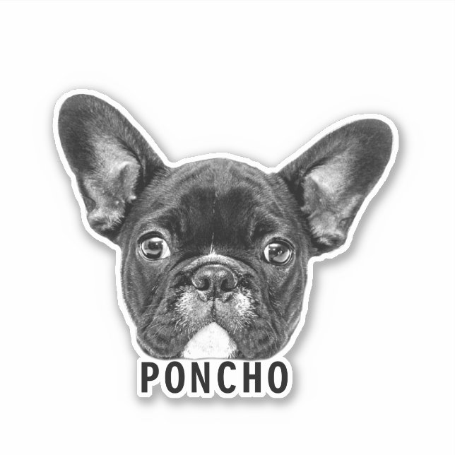 Cargar Mascota Face Photo & Name Pegatina personal (Anverso)