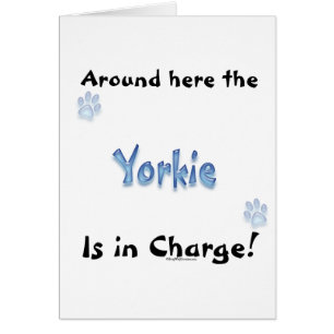 Cargo del territorio de Yorkshire