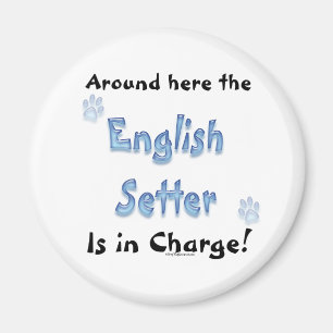 Cargo por asiento en inglés - imán