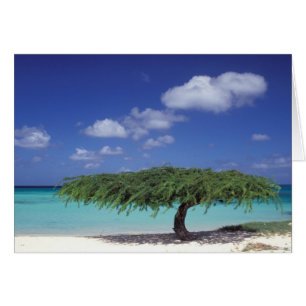 Caribe, Aruba. Playa de Eagle