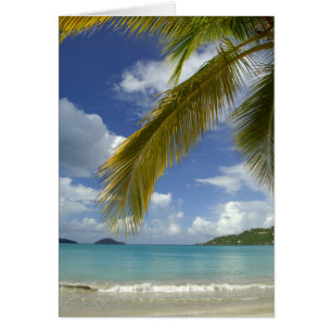 Caribe, Islas Vírgenes de los Estados Unidos, St.T