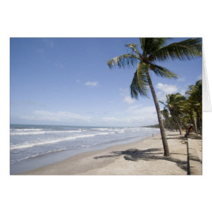 Caribe - Trinidad - Playa Manzanilla el 2