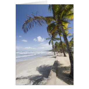Caribe - Trinidad - Playa Manzanilla en