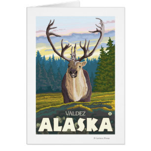 Caribou in Wild - Valdez, Alaska