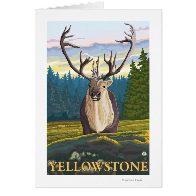 Caribou in Wild - Yellowstone National (Frente)