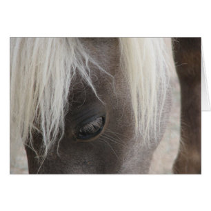 Carly, mini potra bonita