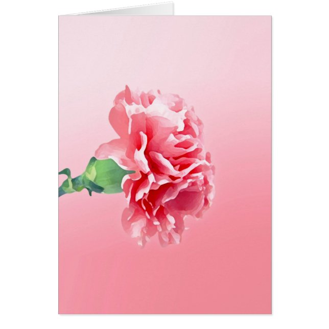 Carnación rosa (Frente)