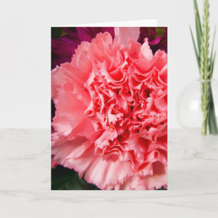 "Carnación rosa 1." Tarjeta mediana