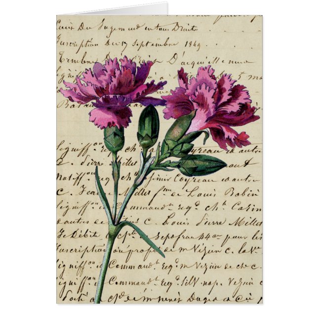 carnación vintage (Frente)