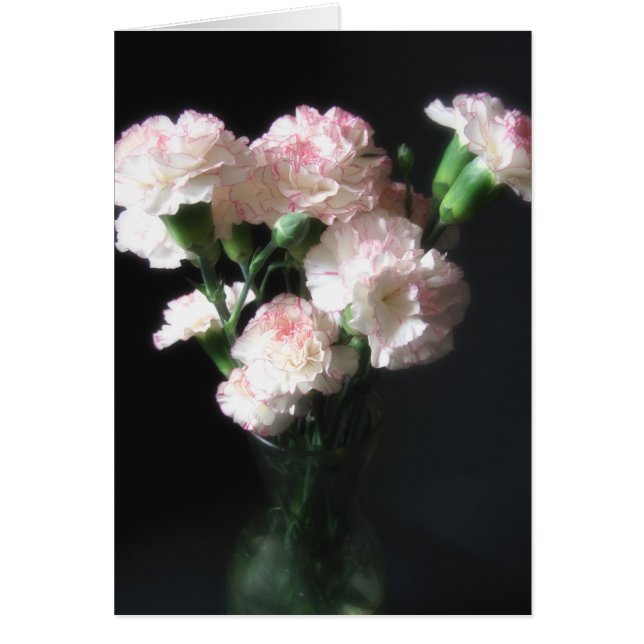 Carnaciones casi blancas 2 (Frente)