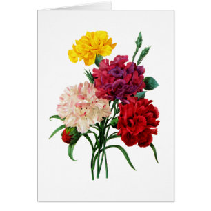 Carnation y Marigold Bouquet por Redoute