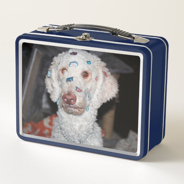 Carne de cerdo pegajosa (Anverso)