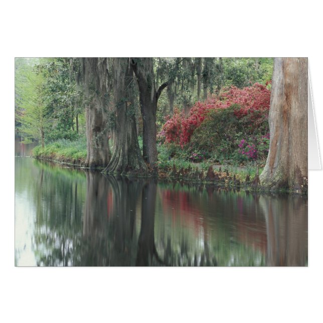 Carolina del Sur, Charleston (Anverso (Horizontal))