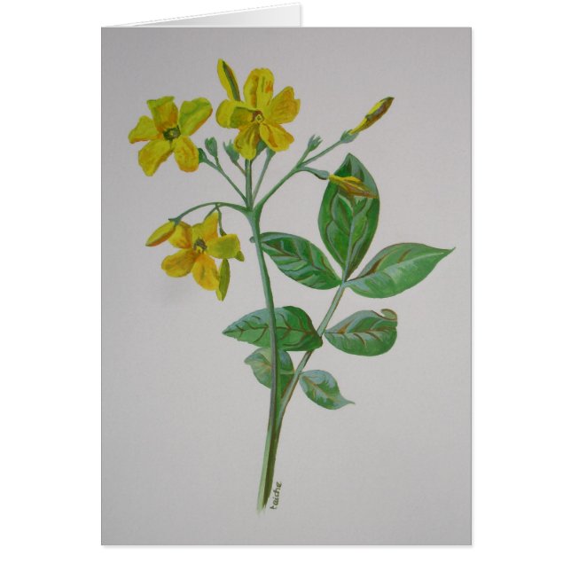 Carolina Jasmine Botanic Art (Frente)