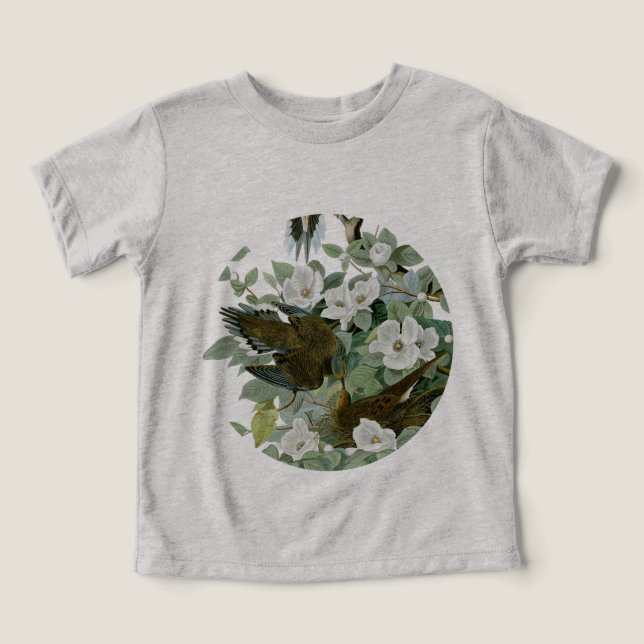 Carolina Pigeon Audubon Morning Dove Bird (Diseño delantero )