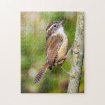 Carolina Wren Puzzle