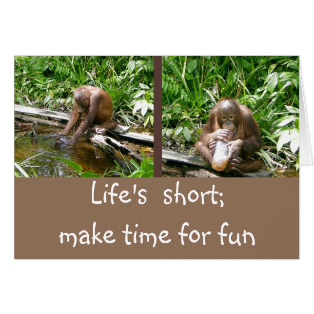 Carpe Diem Disfruta la Vida (Anverso (Horizontal))