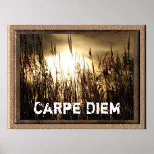 Carpe Diem - poster de arte impreso