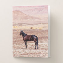 Caballo desierto P8664