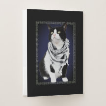 Kufiya palestino tradicional lleva gato