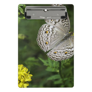 Carpeta de archivos de flores