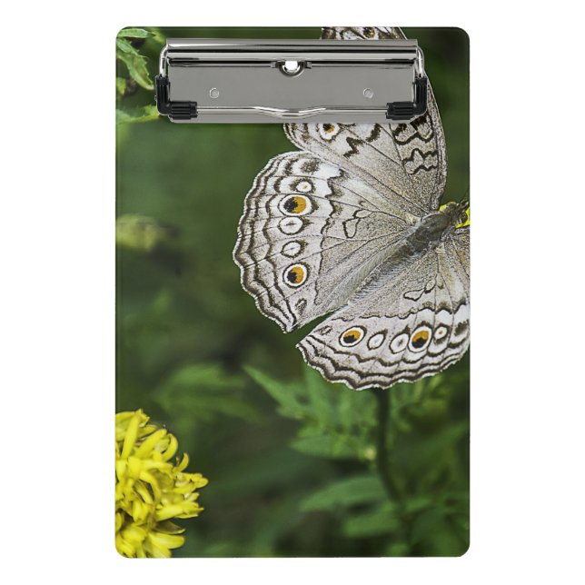 Carpeta de archivos de flores (Anverso)