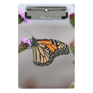 Carpeta de bolsillo de monarca
